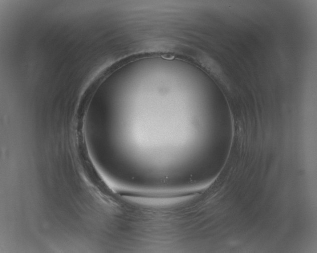 X0000053070676200507111219