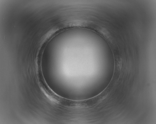 X0000053070678200507111219