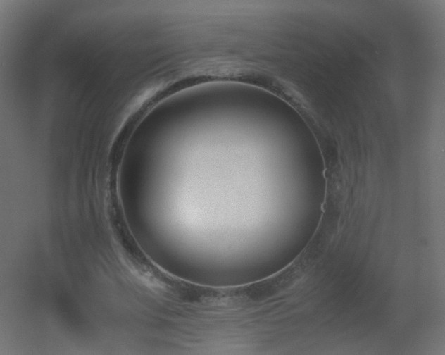 X0000053070679200507111219