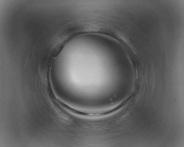 X0000053070681200507111219