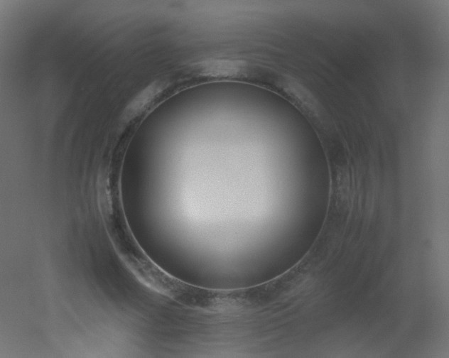 X0000053070682200507111219