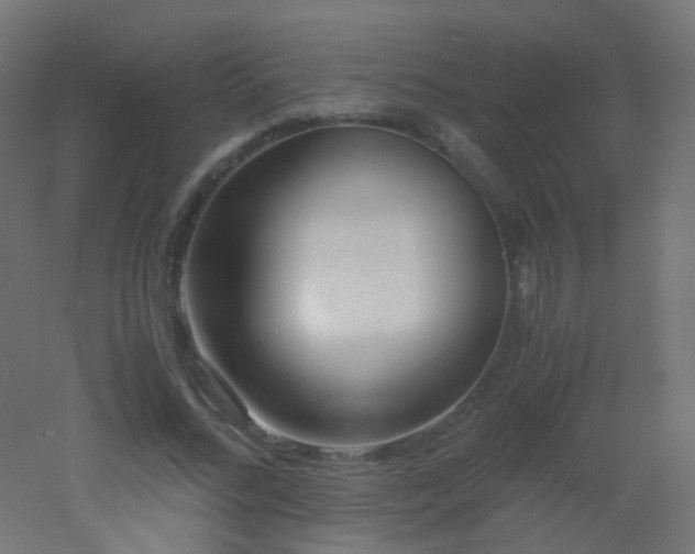 X0000053070684200507111219