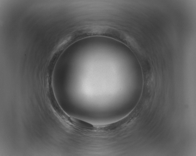 X0000053070685200507111219