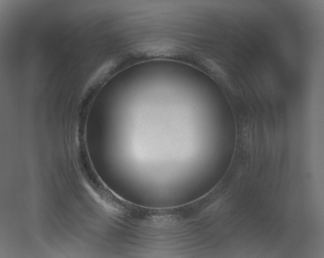 X0000053070686200507111219