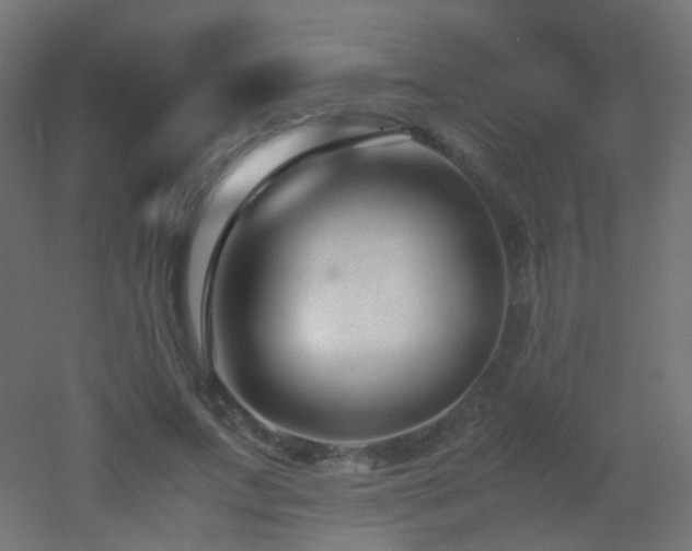 X0000053070687200507111219