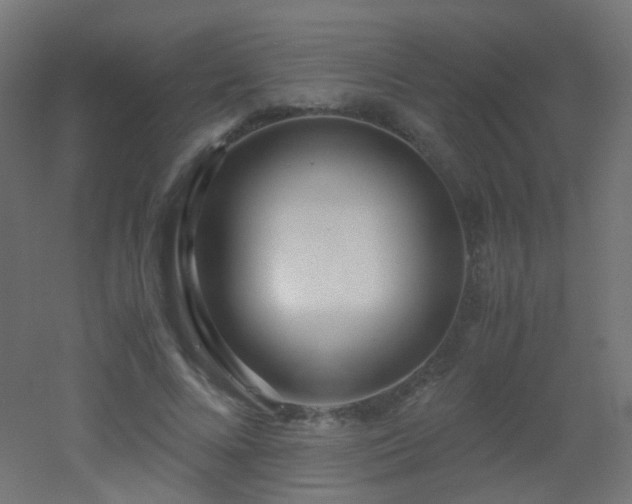 X0000053070688200507111219