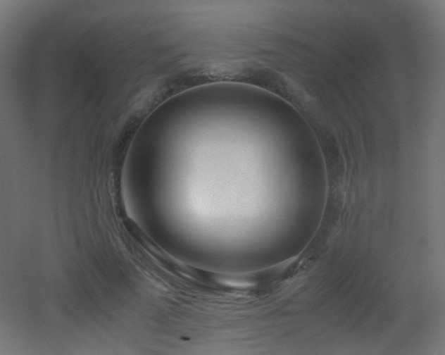 X0000053070689200507111219