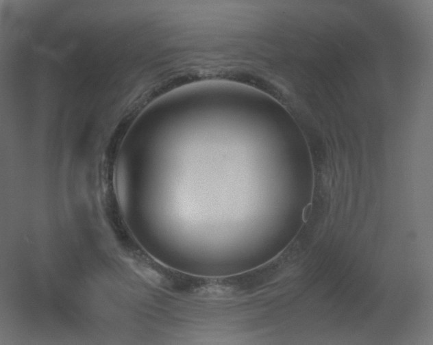 X0000053070691200507111219