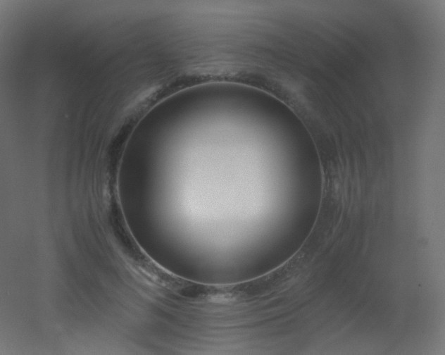 X0000053070692200507111219