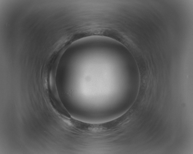 X0000053070693200507111219