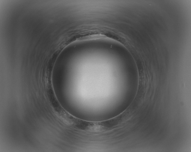 X0000053070695200507111218