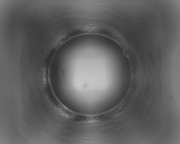 X0000053070696200507111218