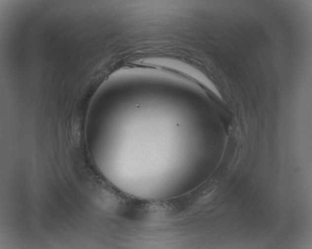 X0000053070697200507111218