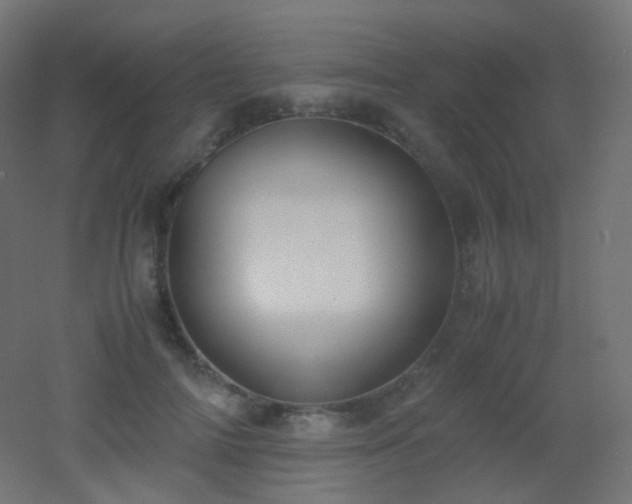 X0000053070698200507111218