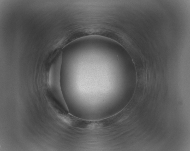 X0000053070700200507111218