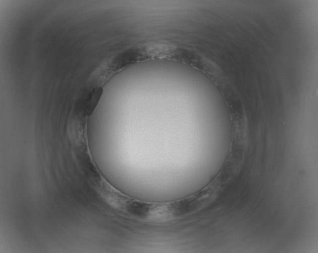 X0000053070705200507111218