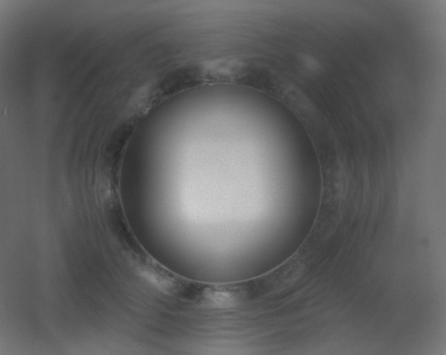X0000053070706200507111218