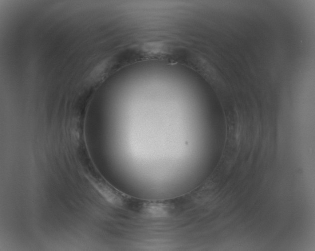 X0000053070710200507111218