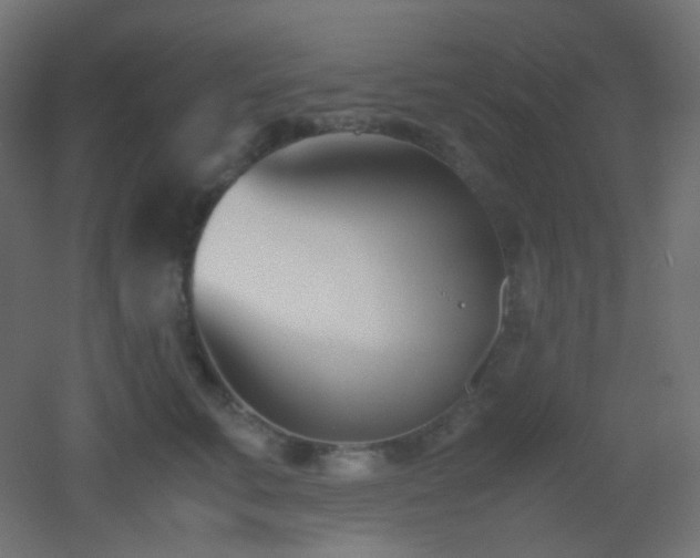 X0000053070711200507111218