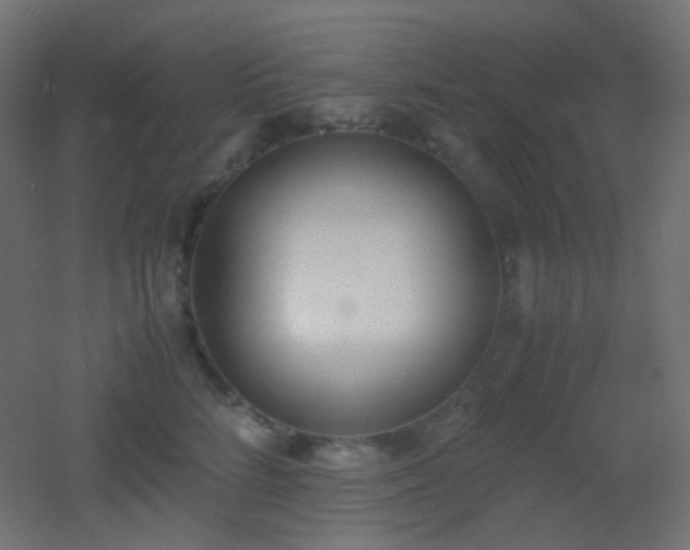 X0000053070712200507111218