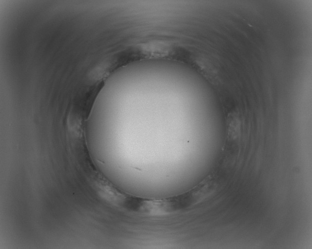 X0000053070713200507111218