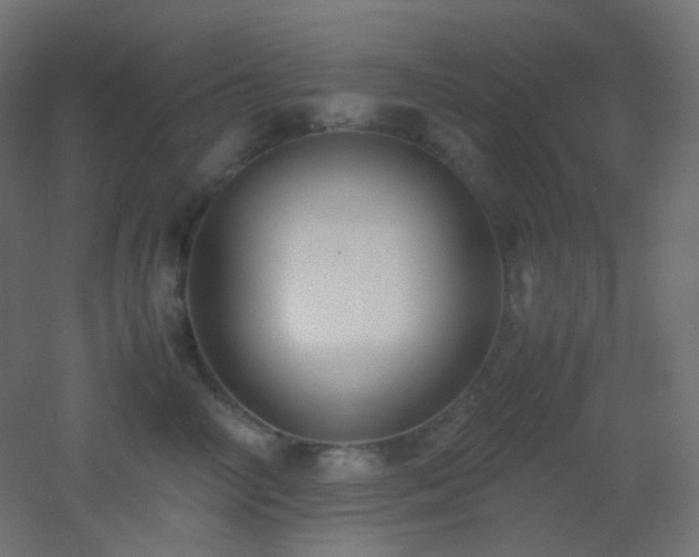 X0000053070714200507111218