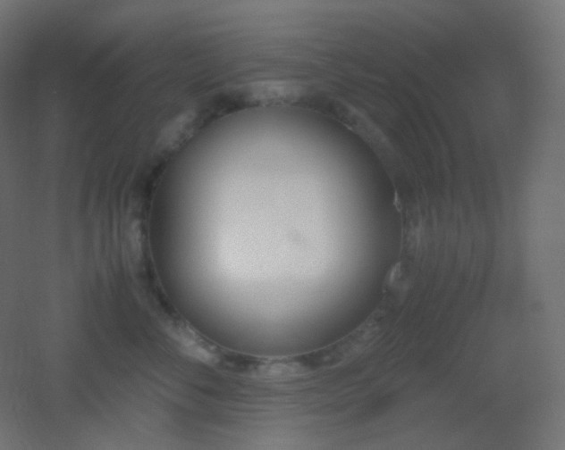 X0000053070716200507111218