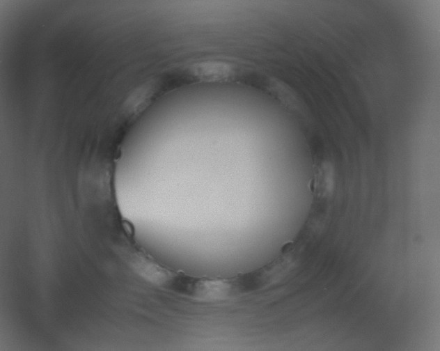 X0000053070717200507111218