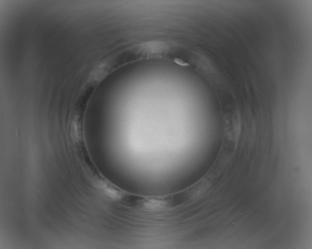 X0000053070718200507111218