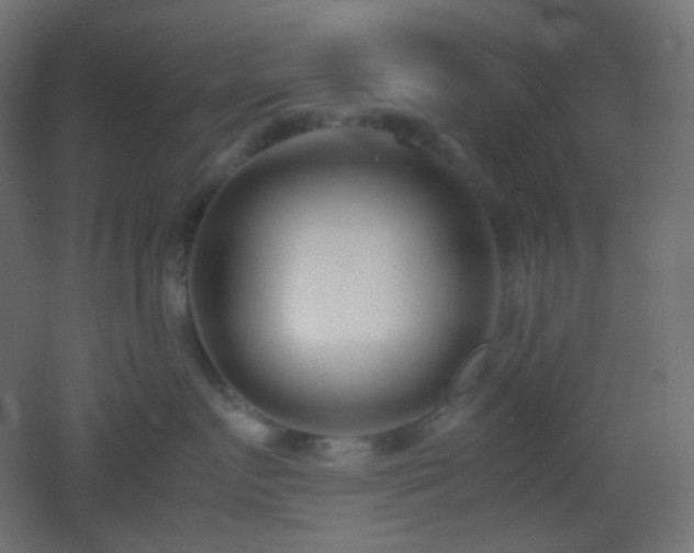 X0000053070719200507111218