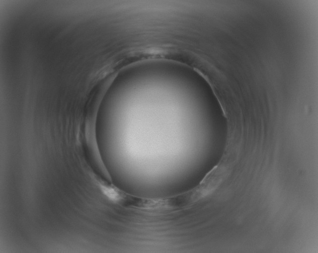 X0000053070720200507111218