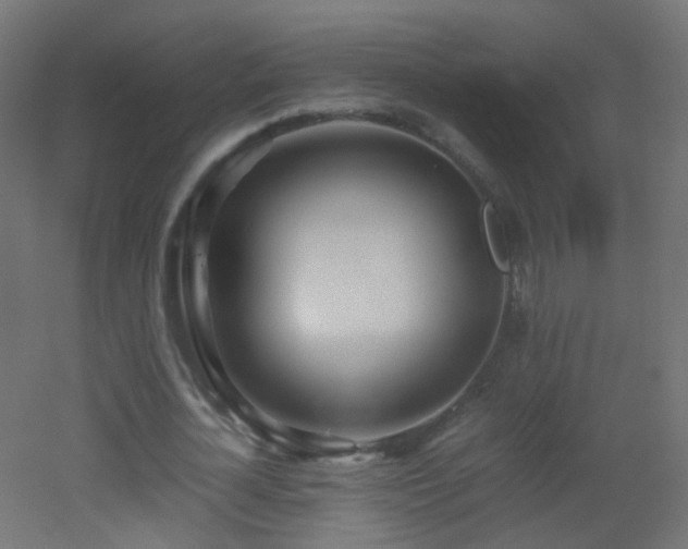 X0000053070724200507111217