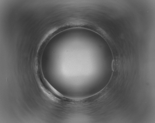 X0000053070726200507111217