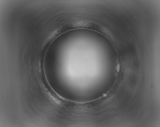 X0000053070729200507111217