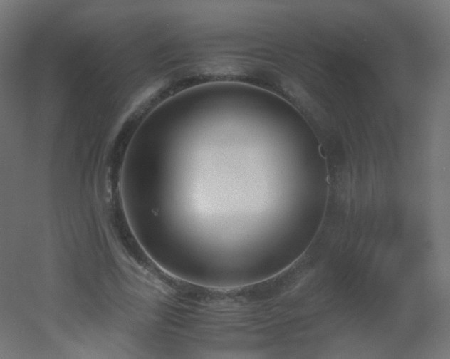X0000053070731200507111217