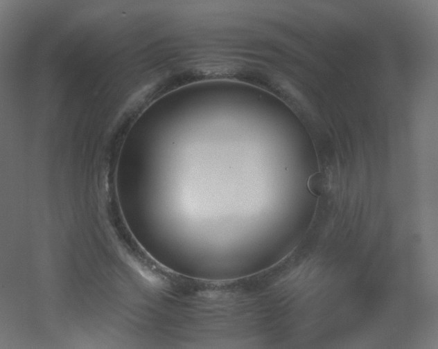 X0000053070733200507111217