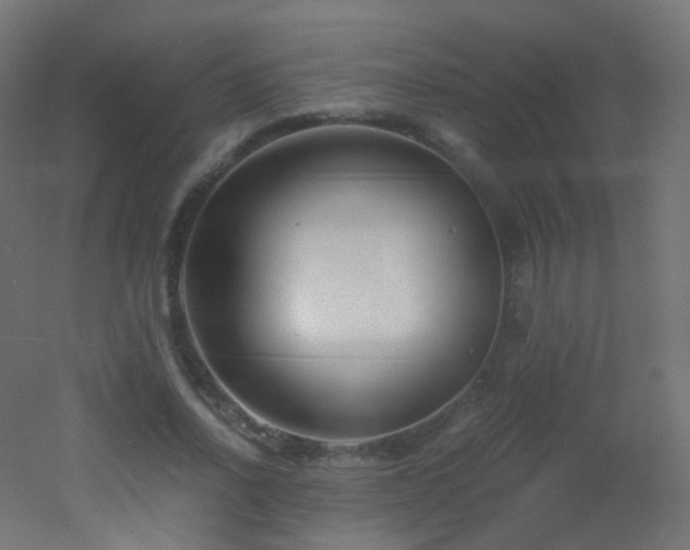X0000053070734200507111217