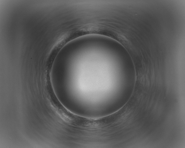 X0000053070735200507111217