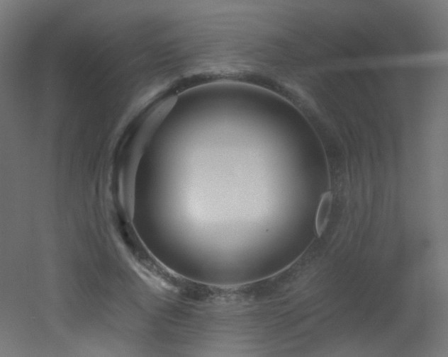 X0000053070736200507111218