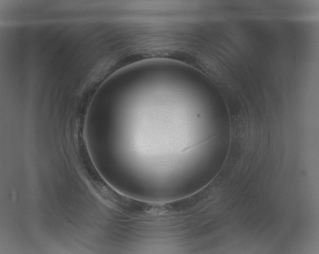 X0000053070742200507111218