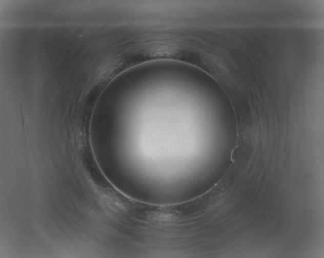 X0000053070743200507111218