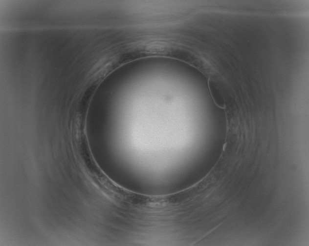 X0000053070744200507111218