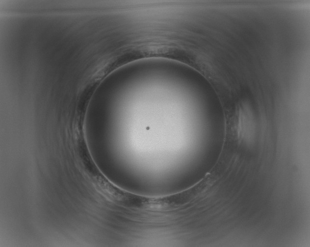 X0000053070746200507111218