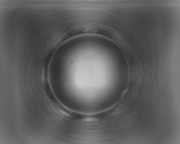 X0000053070748200507111218