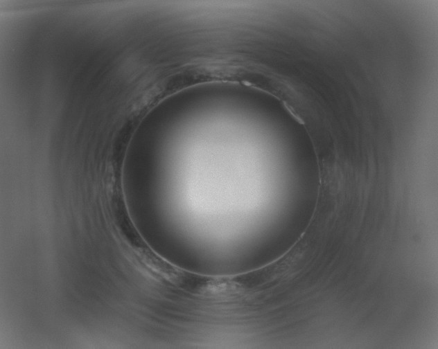 X0000053070752200507111218