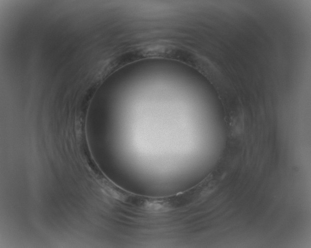 X0000053070753200507111218