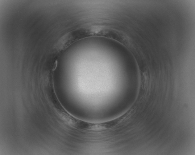 X0000053070754200507111218