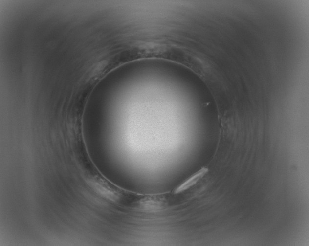 X0000053070756200507111218