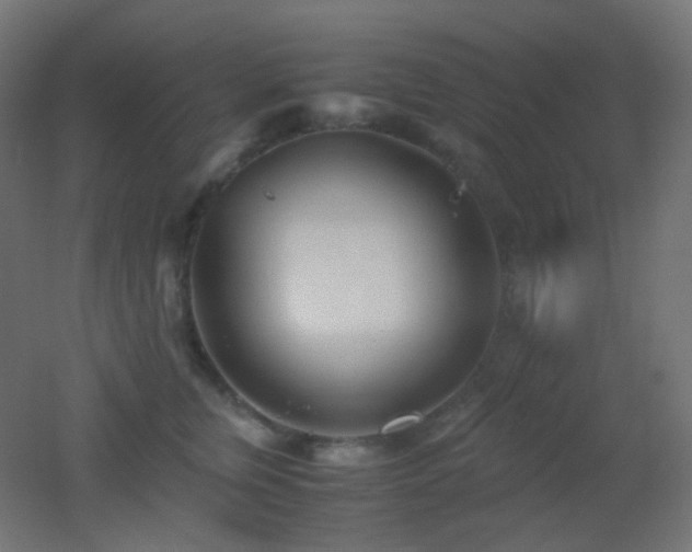 X0000053070759200507111218
