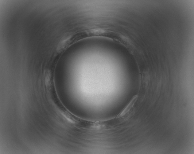 X0000053070760200507111218